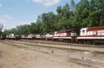 Loco Yard in Vitoria 